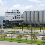 NHÀ MÁY SABECO CỦ CHI