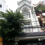 VPĐD CÔNG TY CP RẠNG ĐÔNG